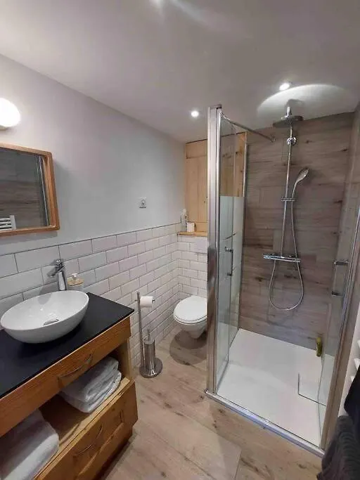 Le Nid Du Farzy, Au Coeur Des Aravis Apartment Le Grand-Bornand France