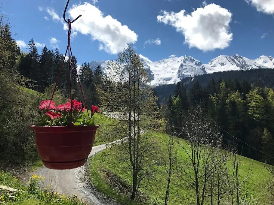 Le Nid Du Farzy, Au Coeur Des Aravis Apartment Le Grand-Bornand 0*,